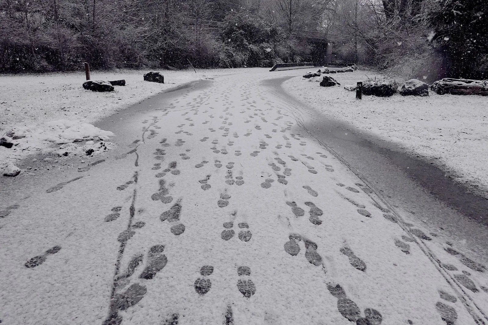 The end of the hike and all we left behind were footprints