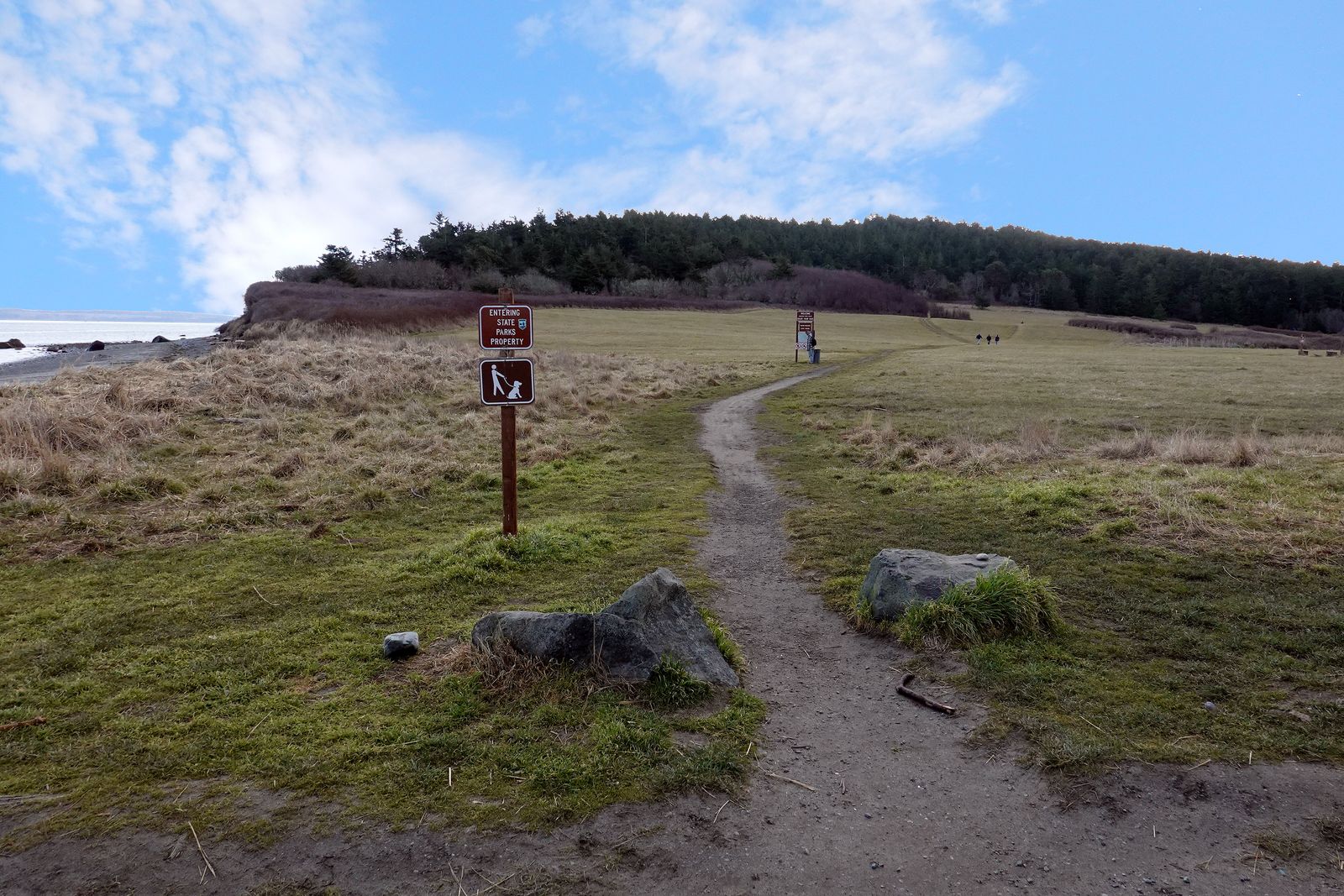  We hiked the beach, but this is the alternate trail leading to the trees 