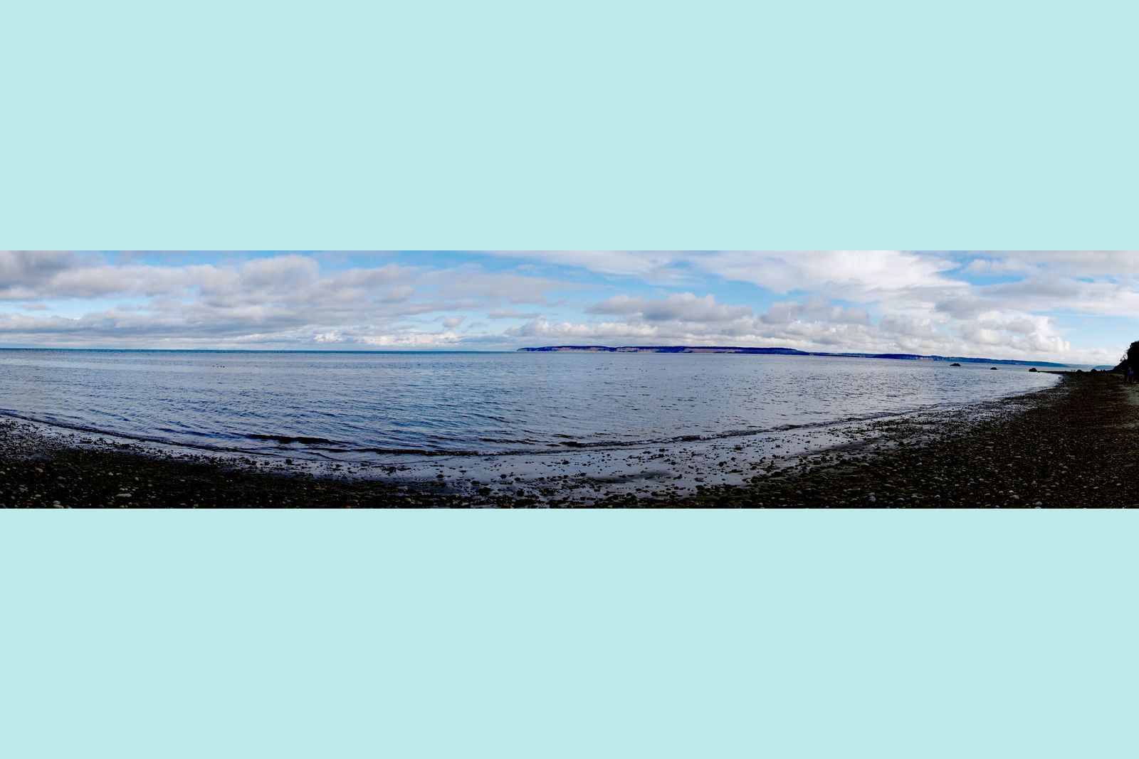  It was a beautiful day to walk on the beach 