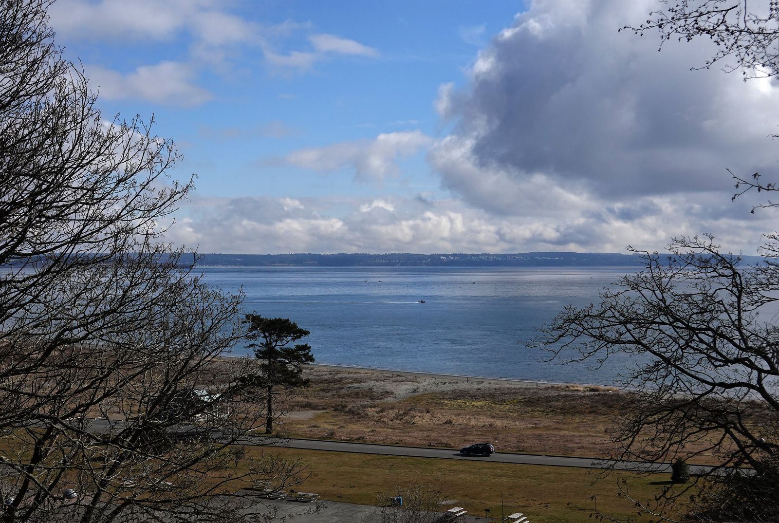 The view from the top of the bluff