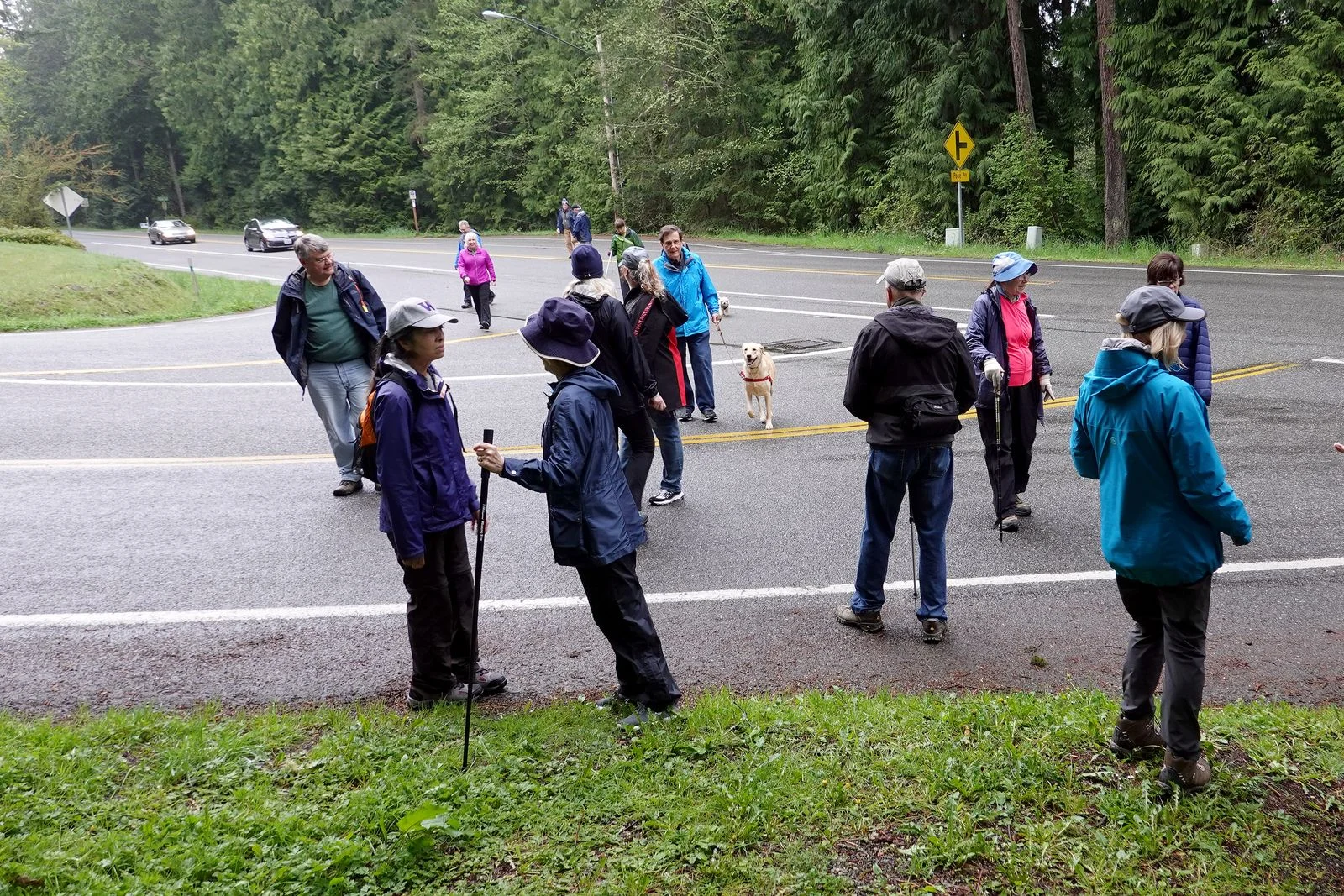 We cross Oak Bay road on our way to Rainier Trail