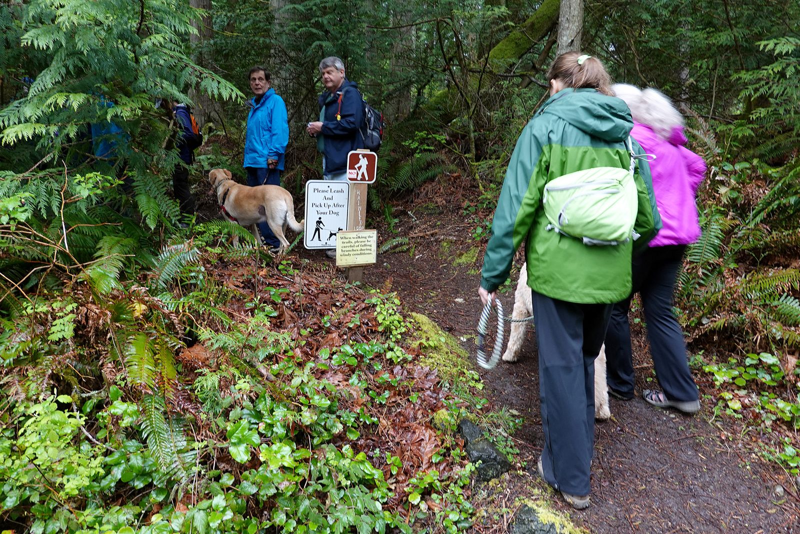  On to the connector trail between Rainier and Talbot Trail 