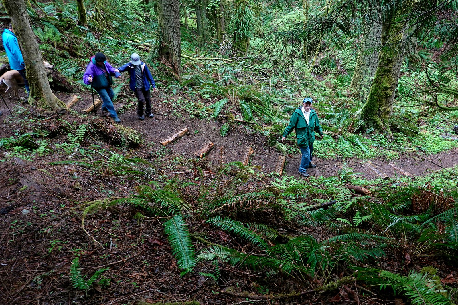  The Osprey Trail has 223 log steps – it’s better going down than up 