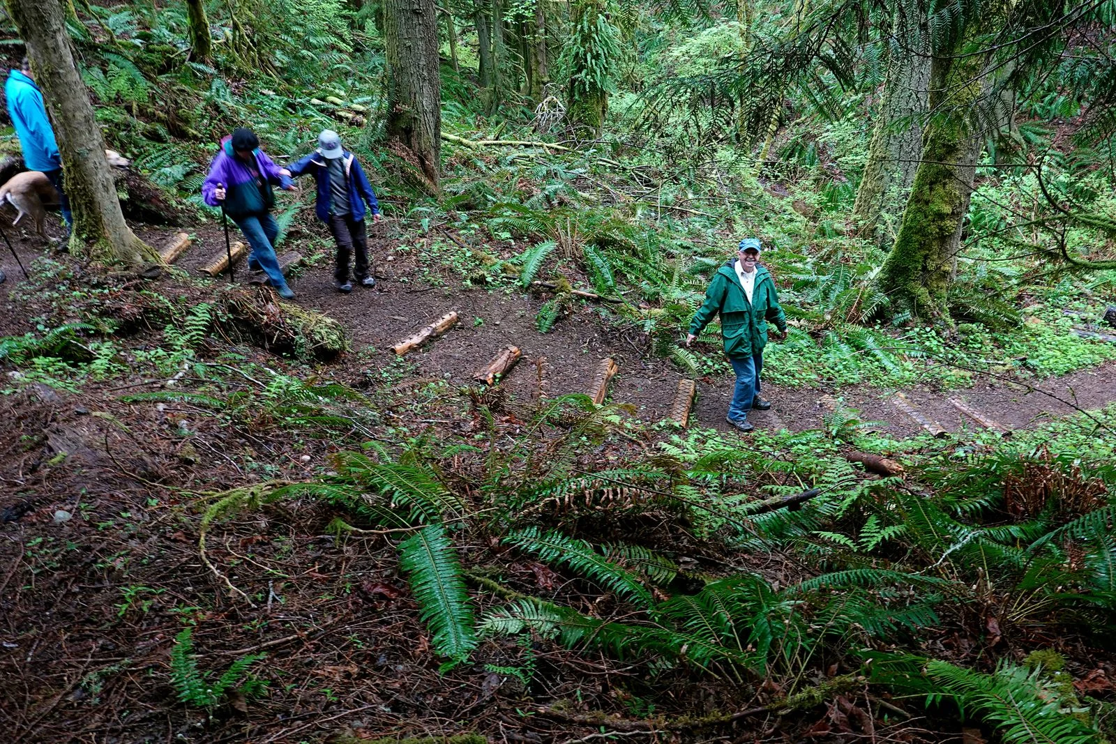 The Osprey Trail has 223 log steps – it’s better going down than up