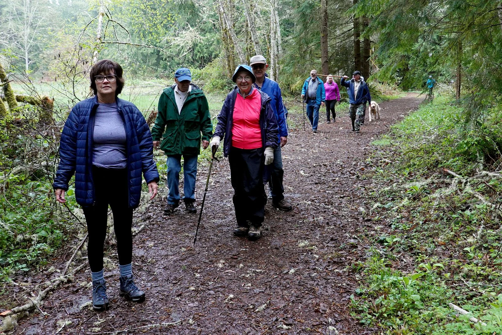 The beginning of the Interpretive Trail heading for Ludlow Falls