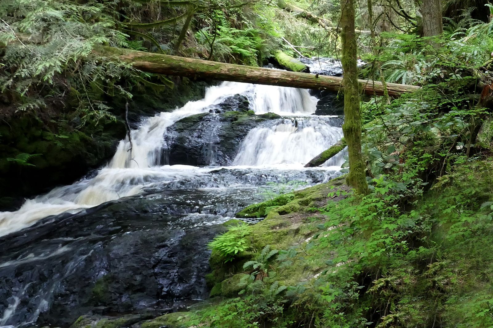 Ludlow Falls