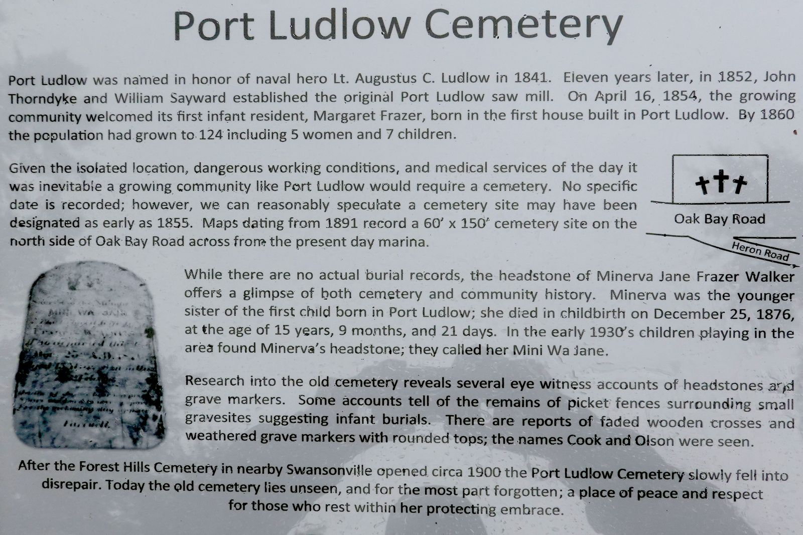  Recently added Port Ludlow history signs next to the trail 