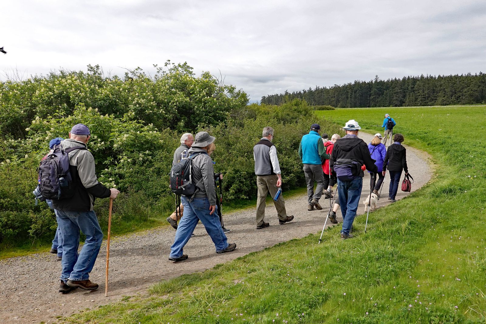 The hike begins towards the sea