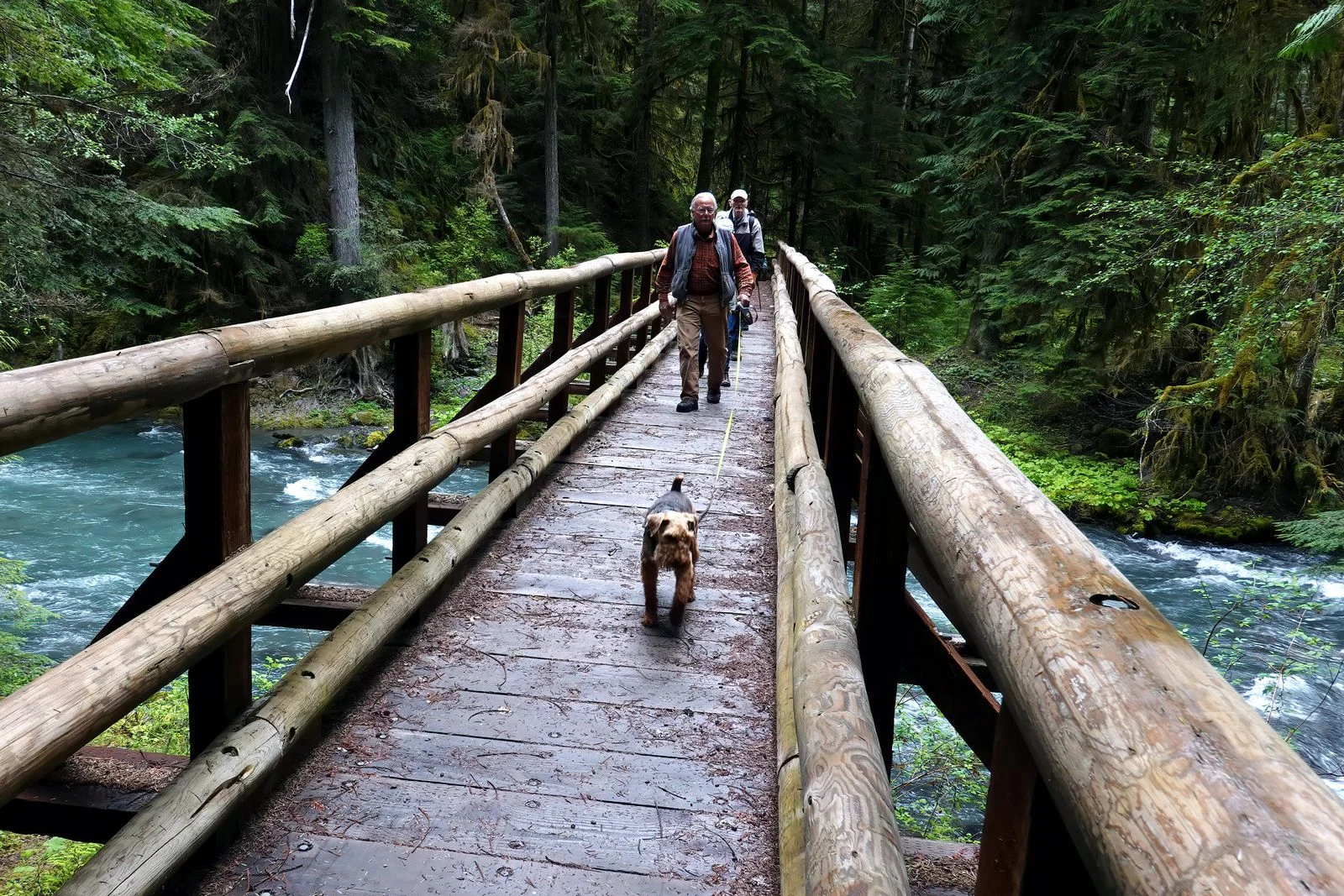 We continue the hike with Dewey in the lead