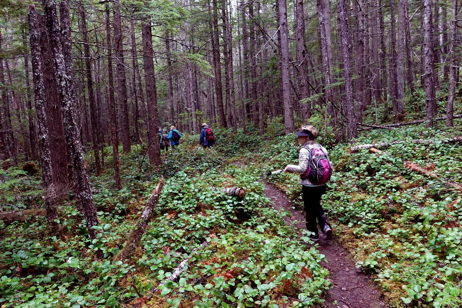 The last stretch before we reach the trailhead