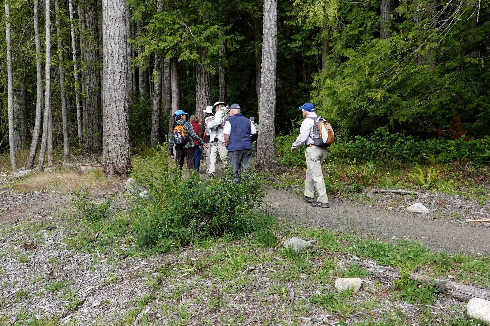 The hike begins