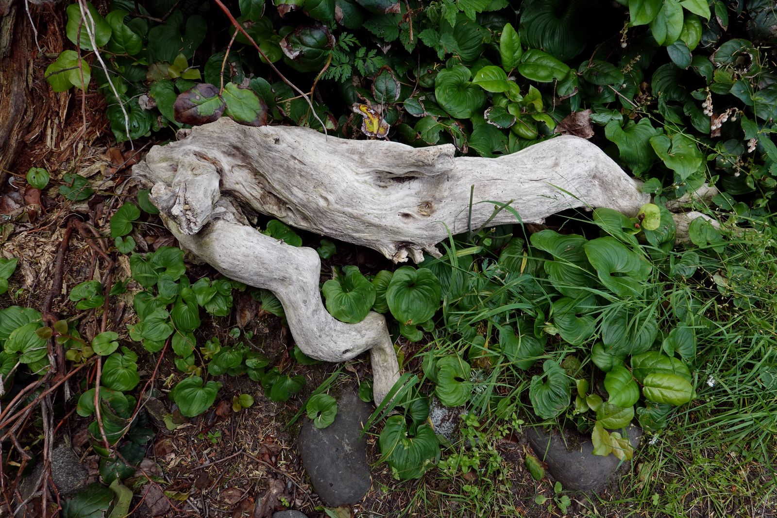 Things you see along the trail