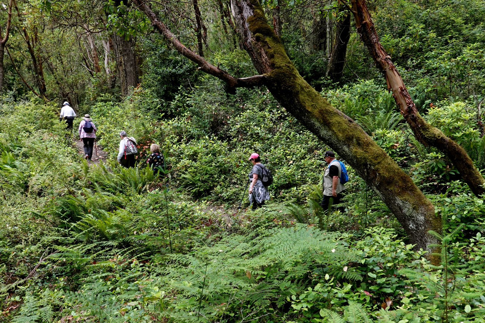 Our last stretch before we return to the trailhead