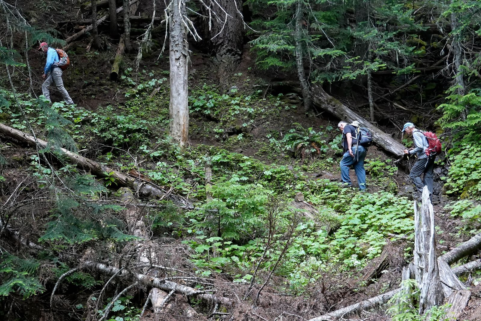 In places the trail is really steep