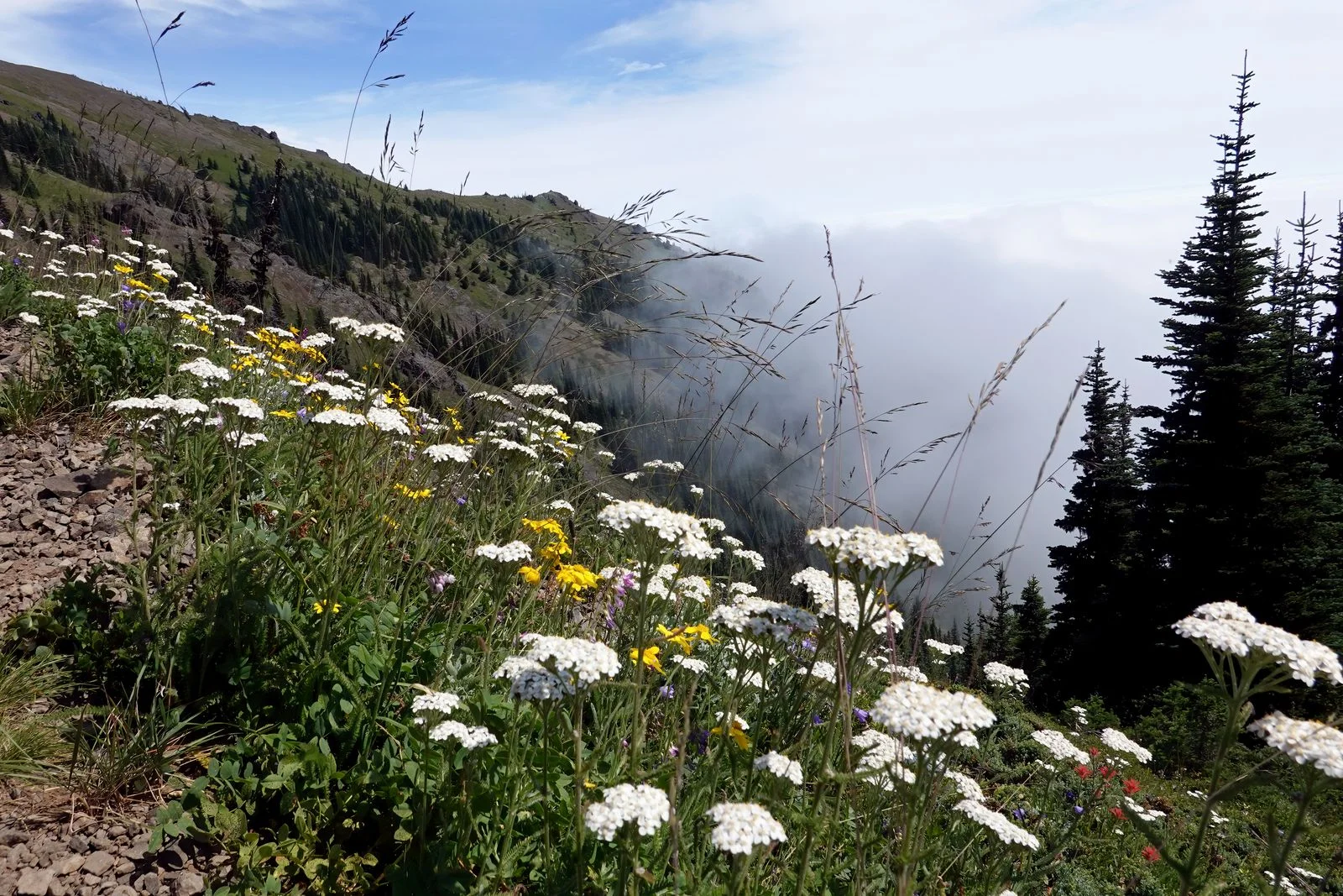We are getting further above the clouds