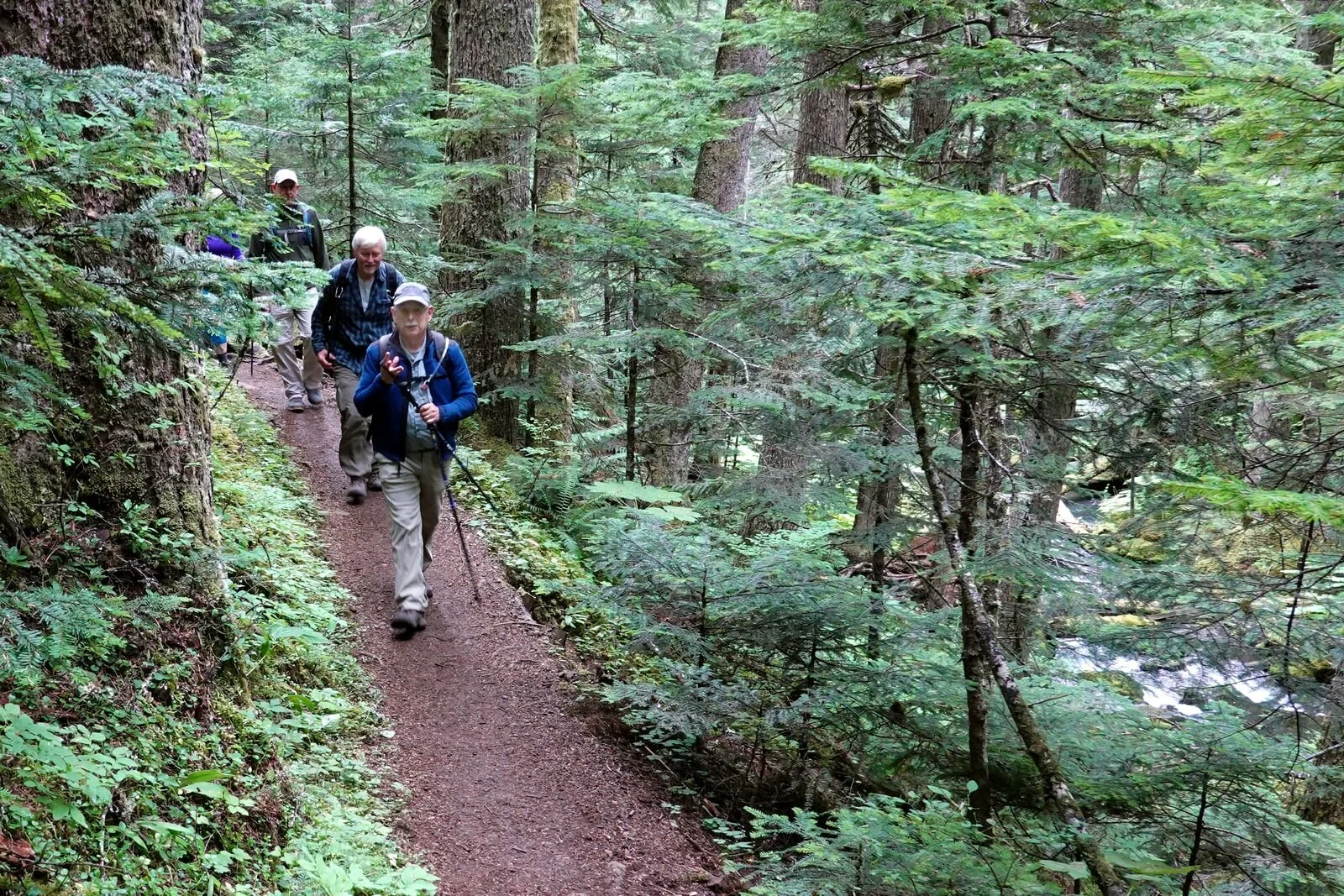 David our hike leader in the lead – Note Quilcene River on the right