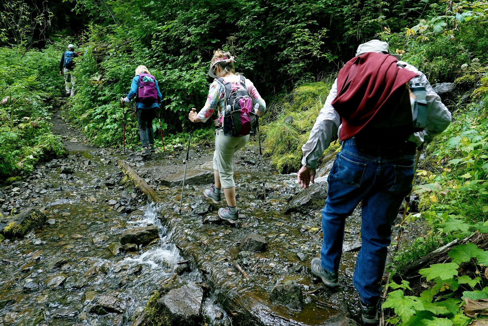 In places little streams ran across the trail