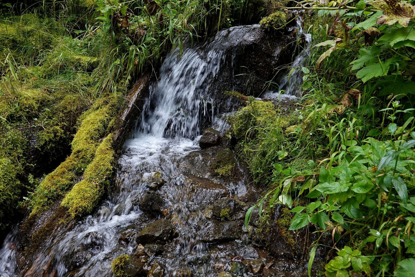 A little waterfall beside the trail – nice sound