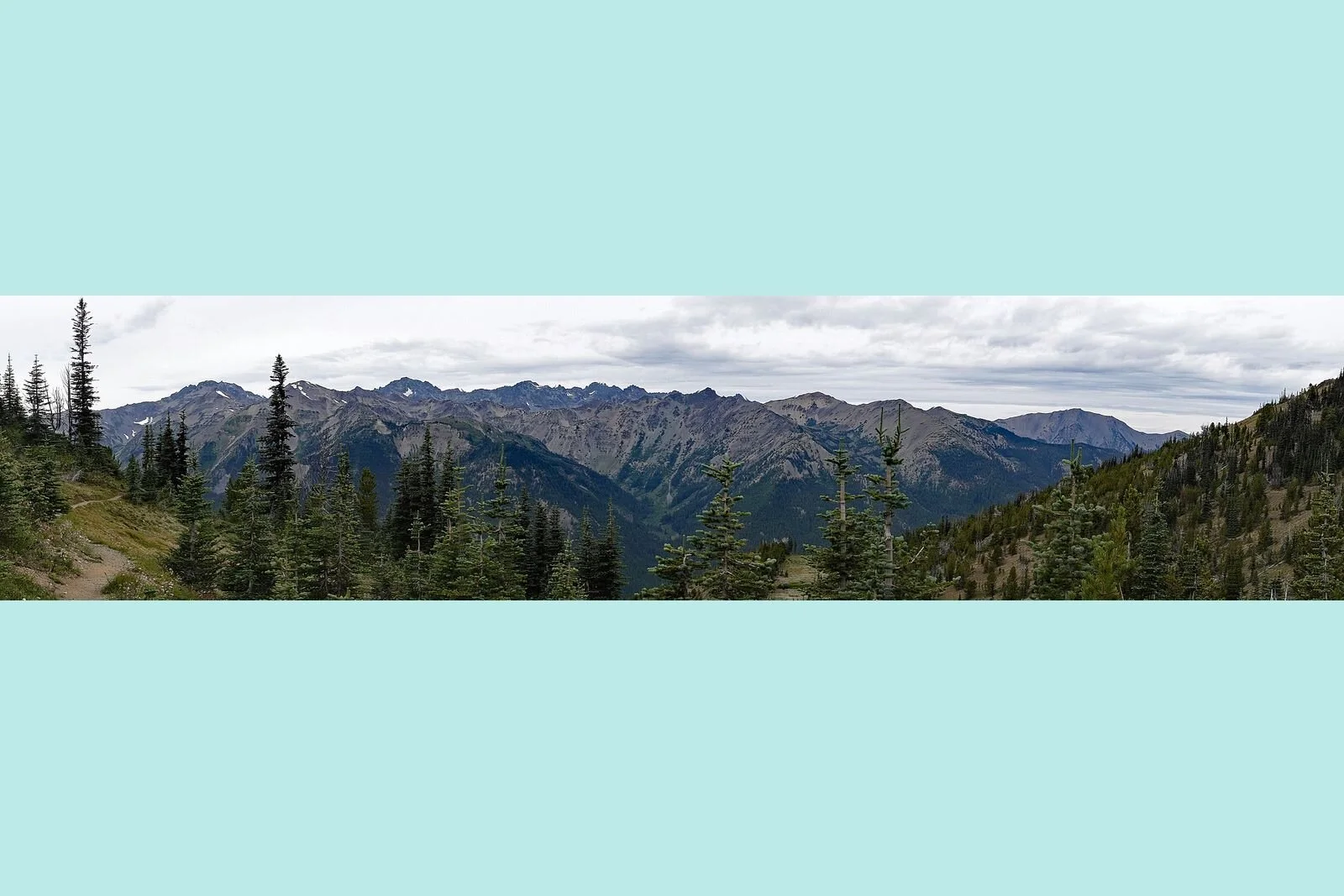 The Olympic Mountain Range from the top of Marmot Pass