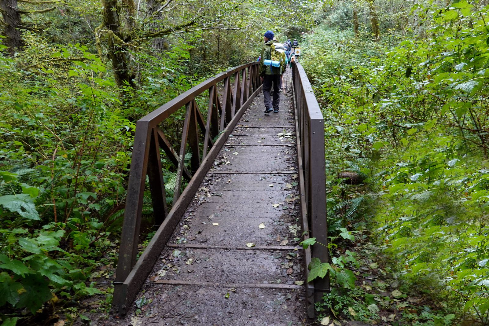 Bridge across Gold Creek