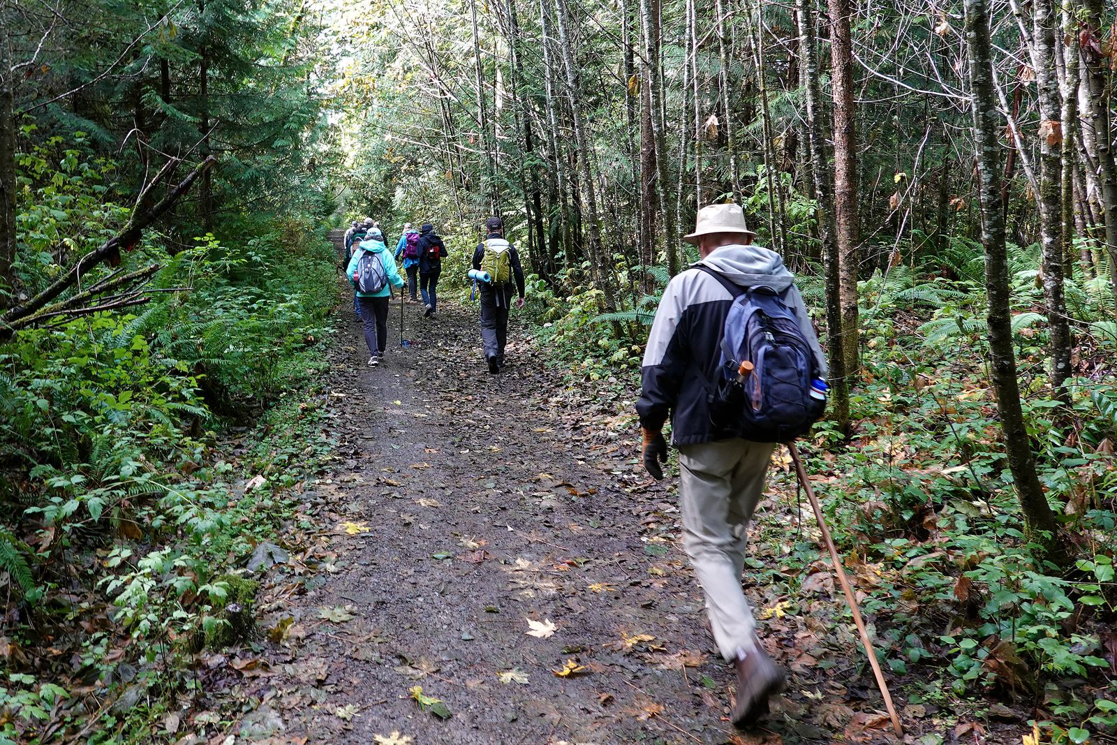 Our last stretch before the end of the hike