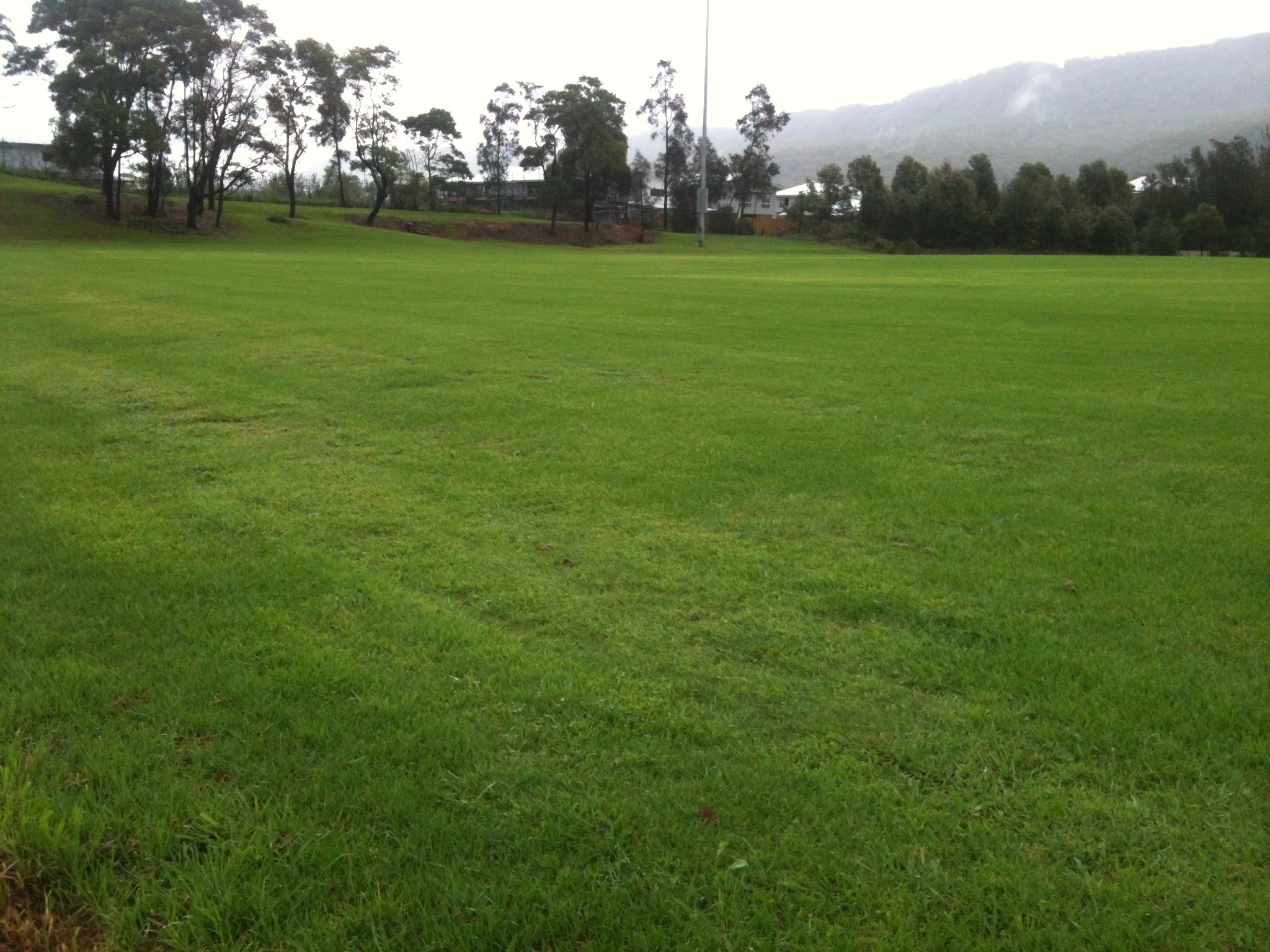Eastern side of Ground 1, near where the dug outs are usually situated.