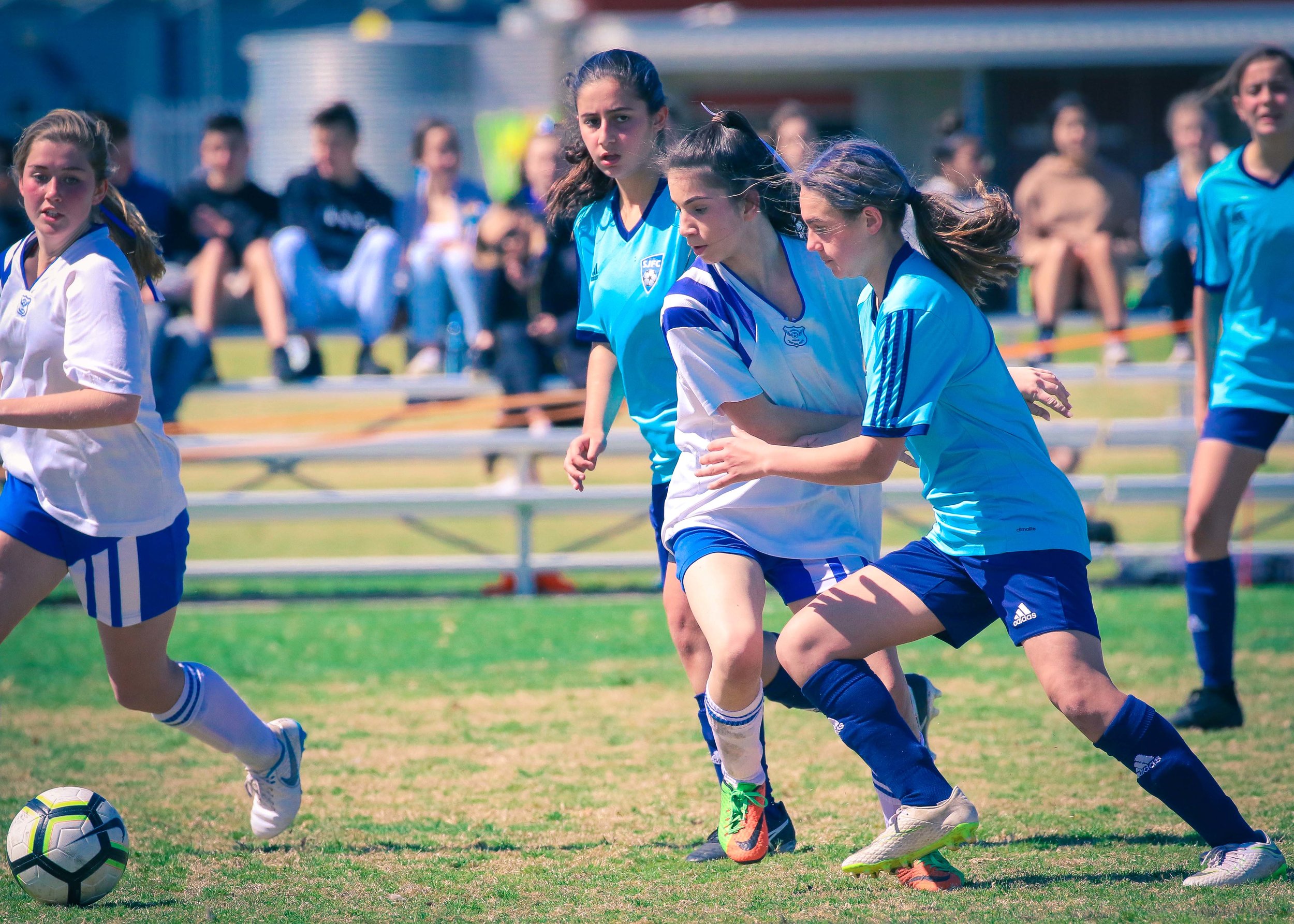 180909_FSC_SHEL_THI-18.jpg