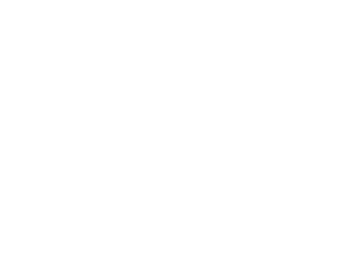 CH1 FAA white_edited-1.png
