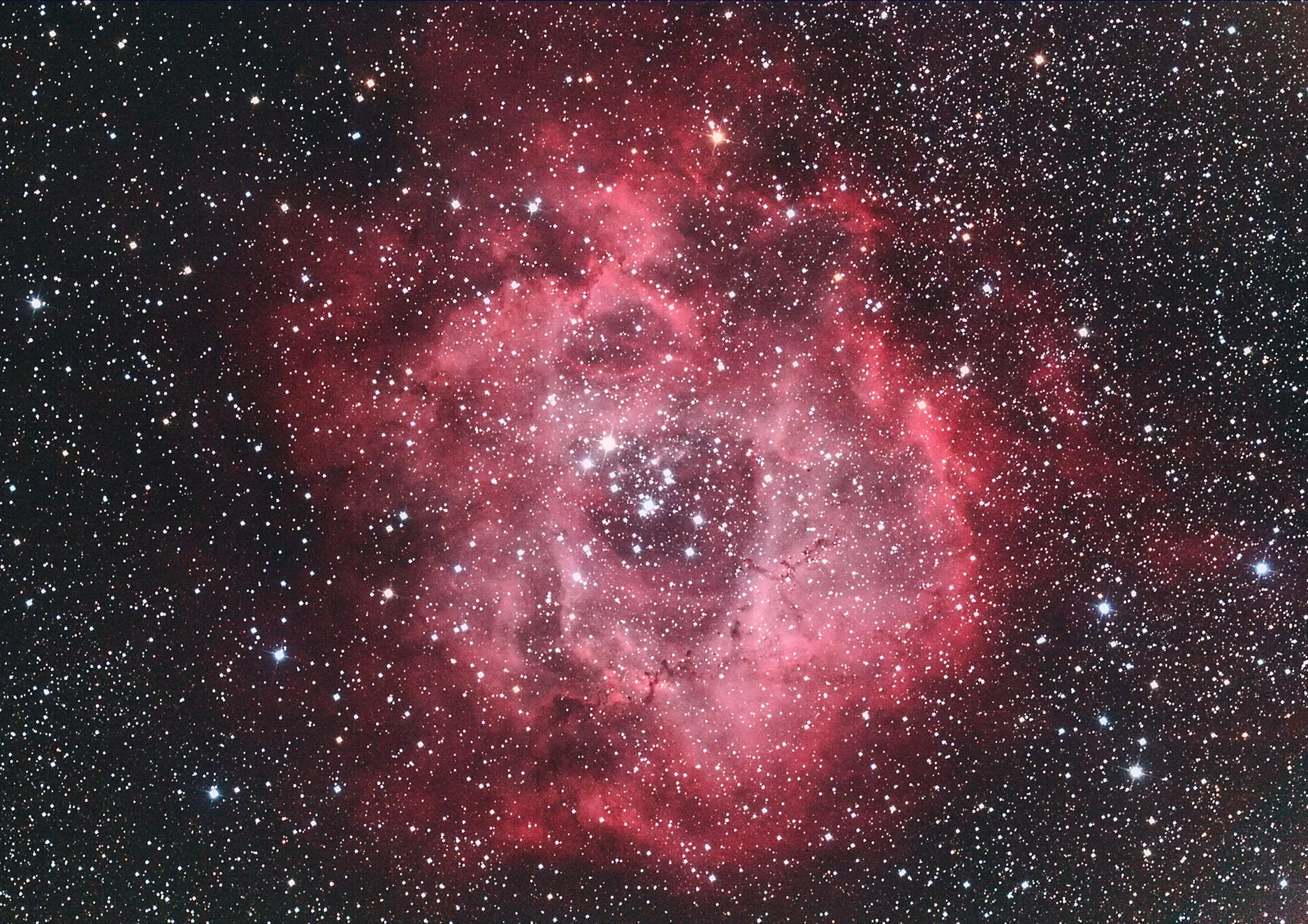 The Rosette Nebula