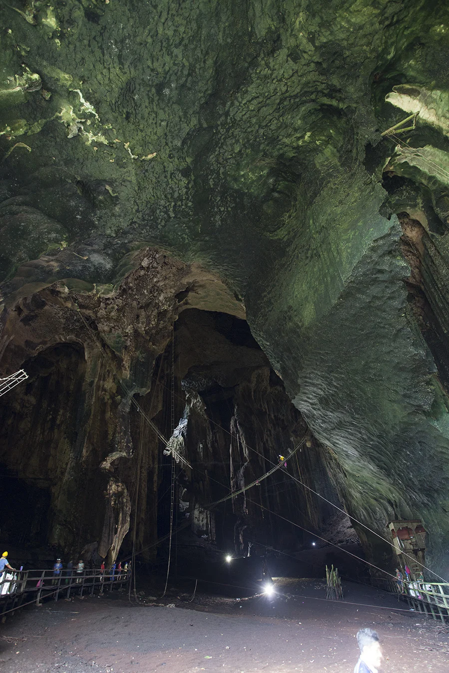 Gomantong Caves