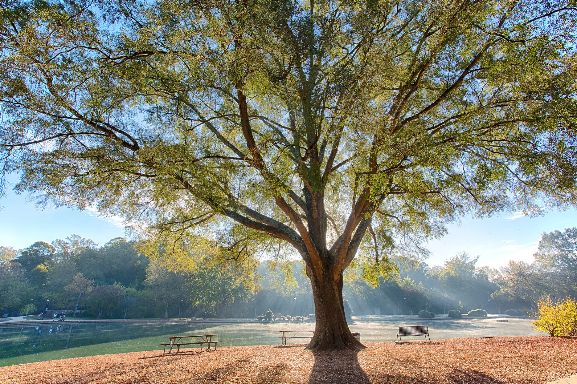 Freedom Park Sunrise