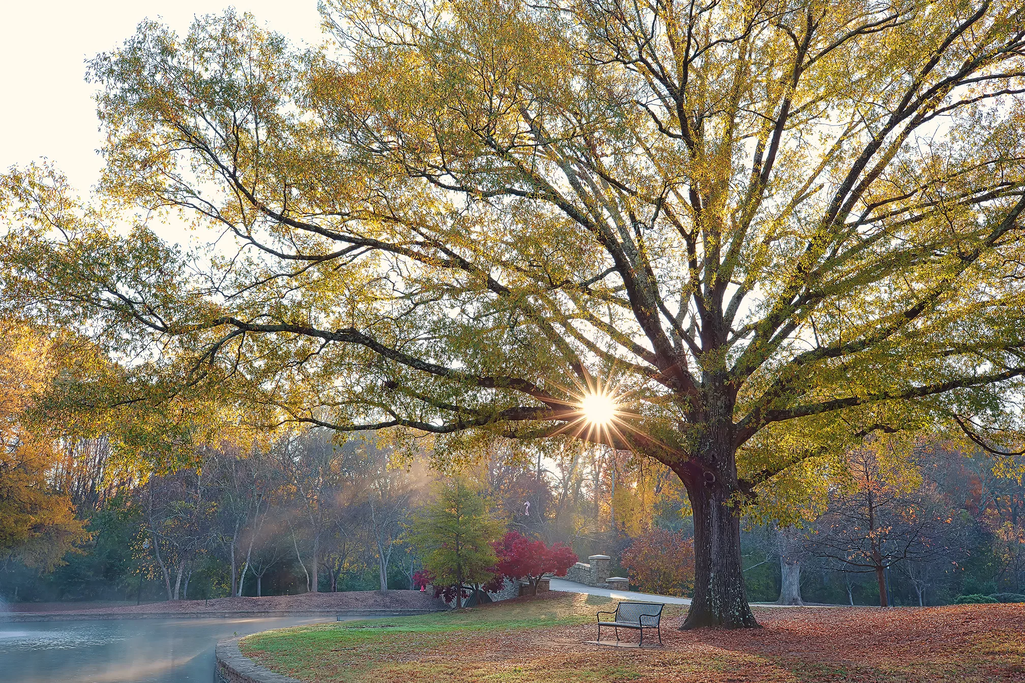Freedom Park, Charlotte