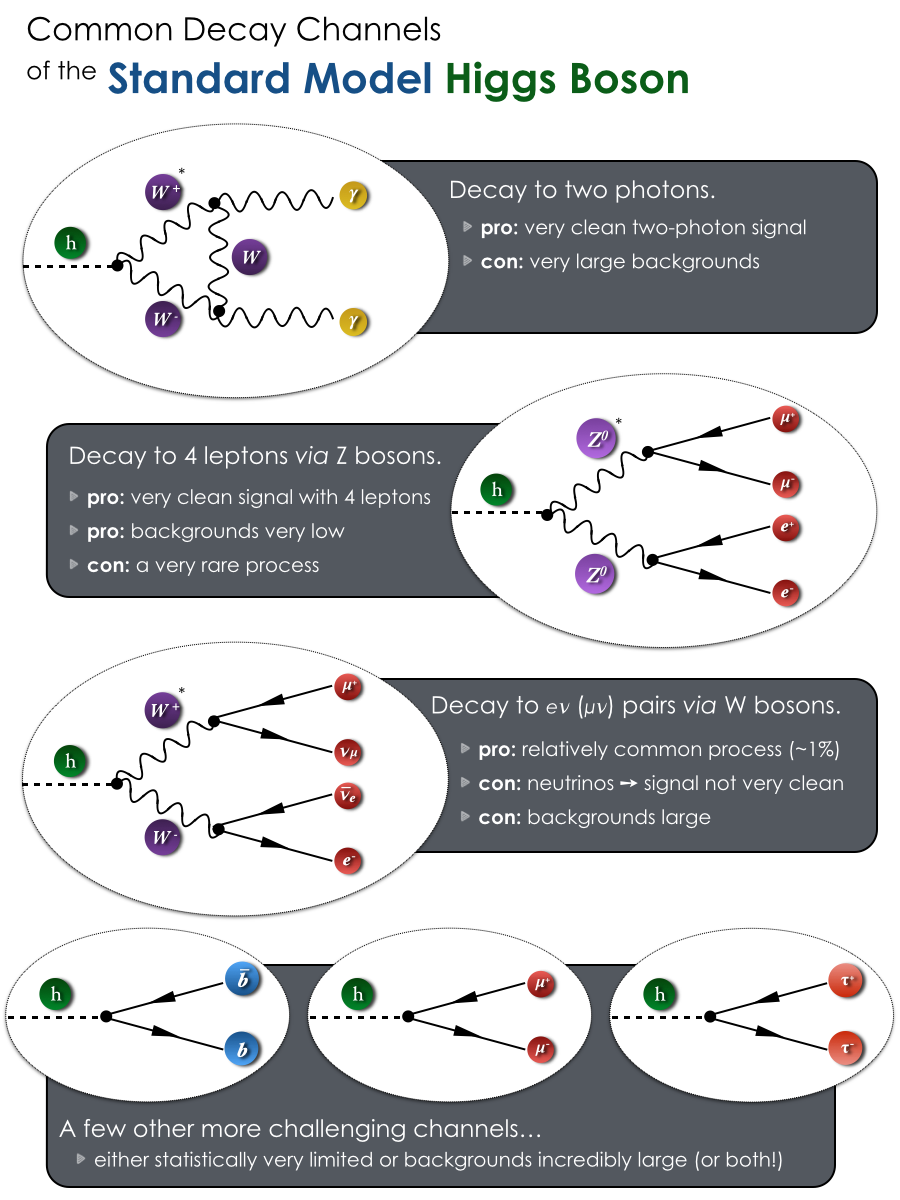  A few of the more common Standard Model Higgs Boson decay channels together with some of their pros and cons.