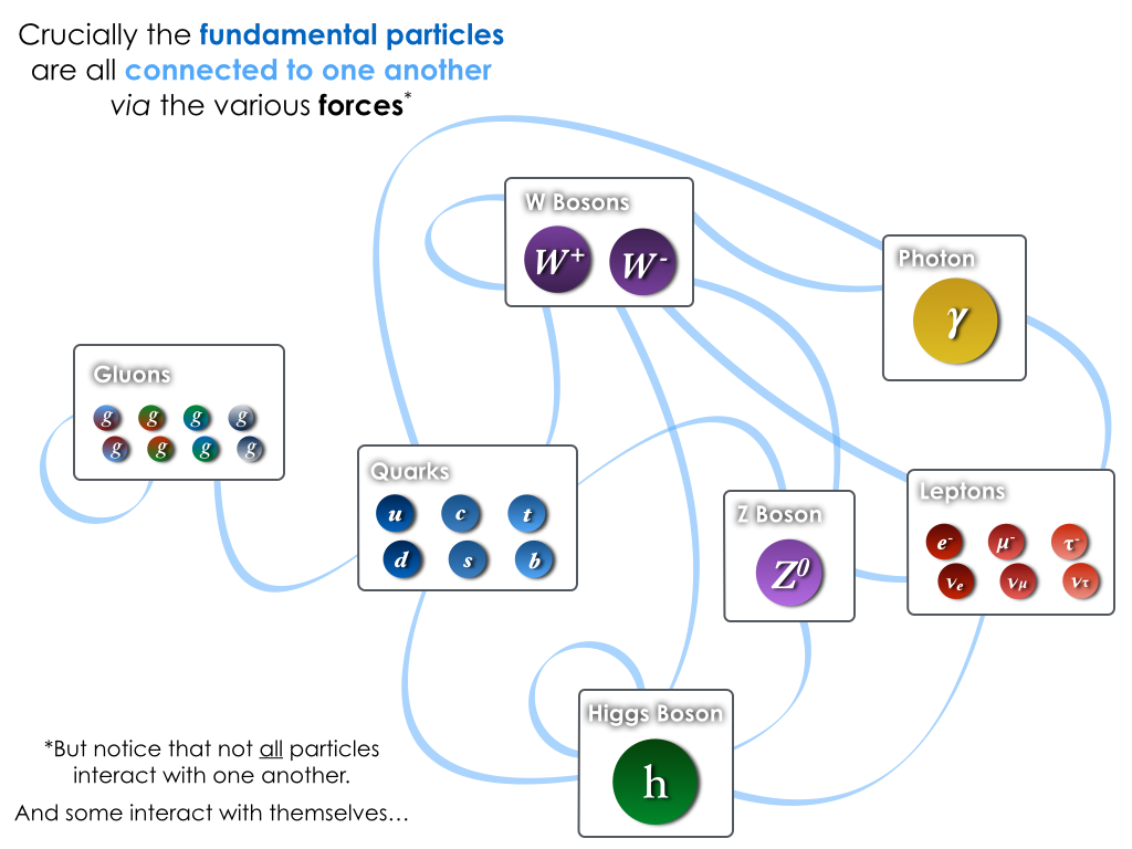Interactions between the fundamental particles of the Standard Model.