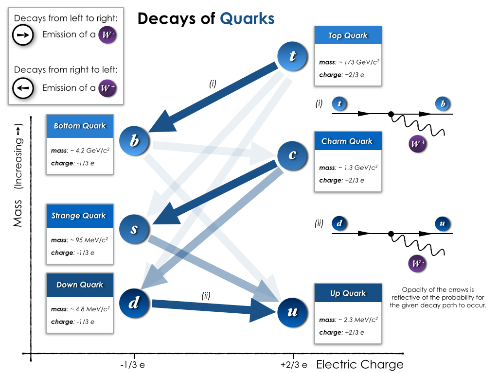 Decay paths for quarks, from the heaviest (top quark) all the way down to the lightest (up quark).