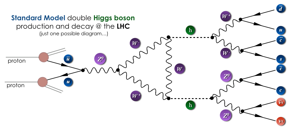 One possible production and decay mode of two Standard Model Higgs bosons at the LHC.