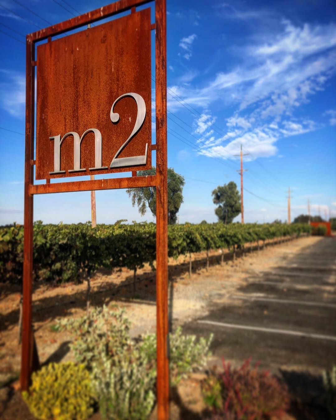 m2wines_42996232_2117120395006991_6476944510539751546_n.jpg