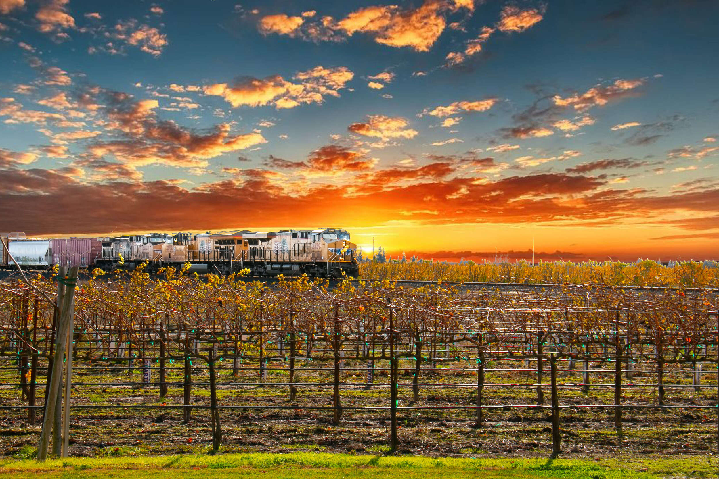 train-winery.jpg