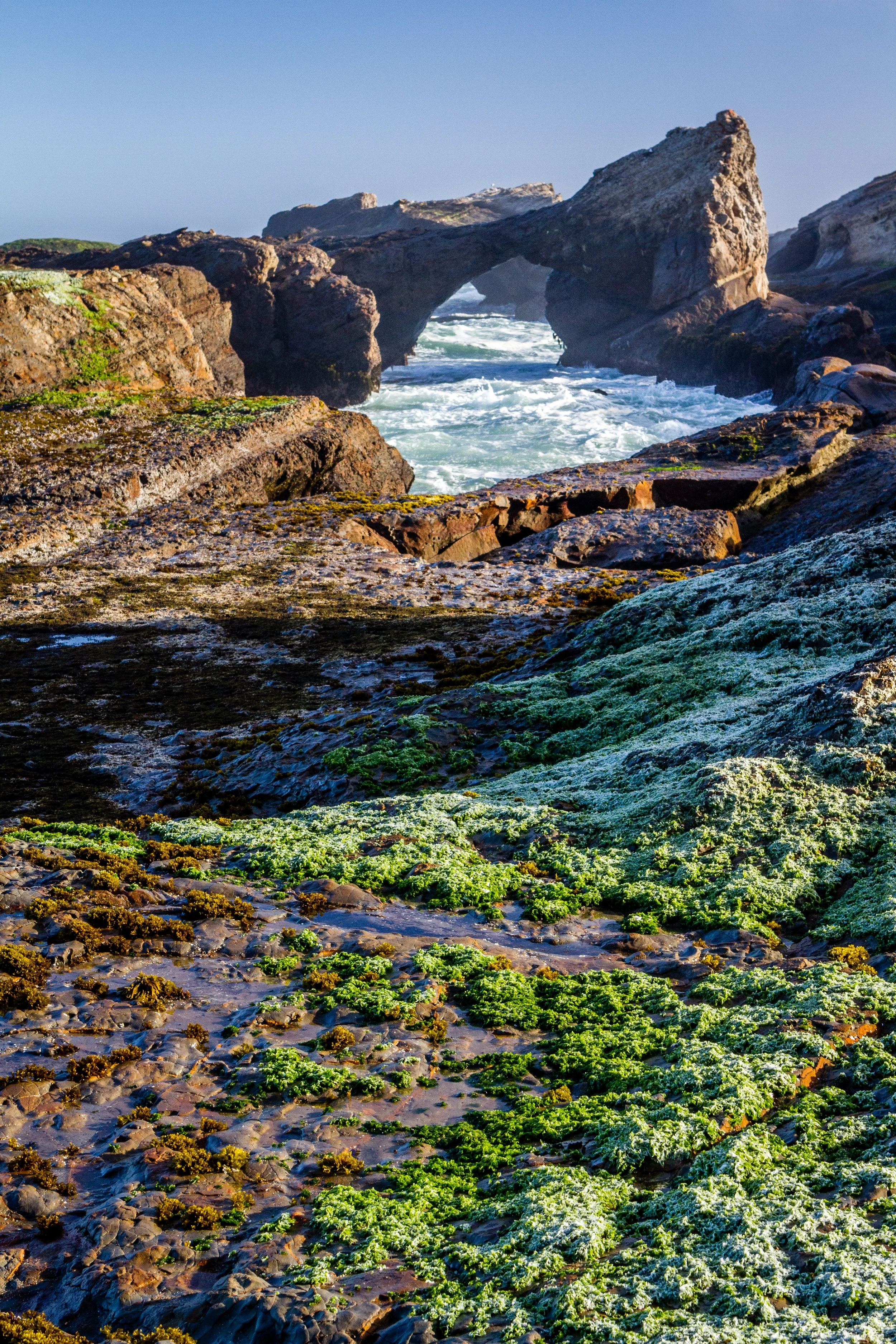 Point_Arena-2.jpg