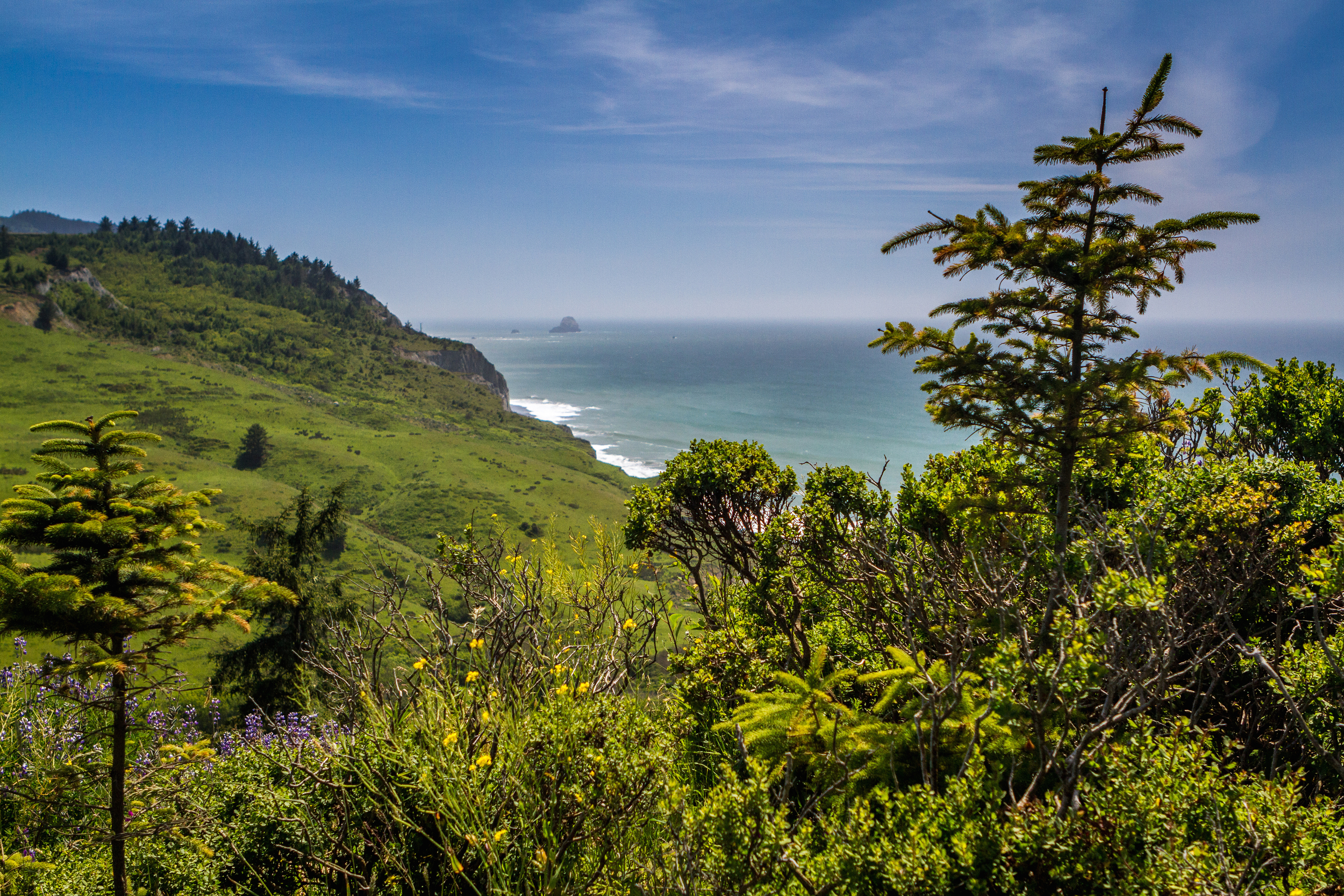 Lost_Coast-2.jpg