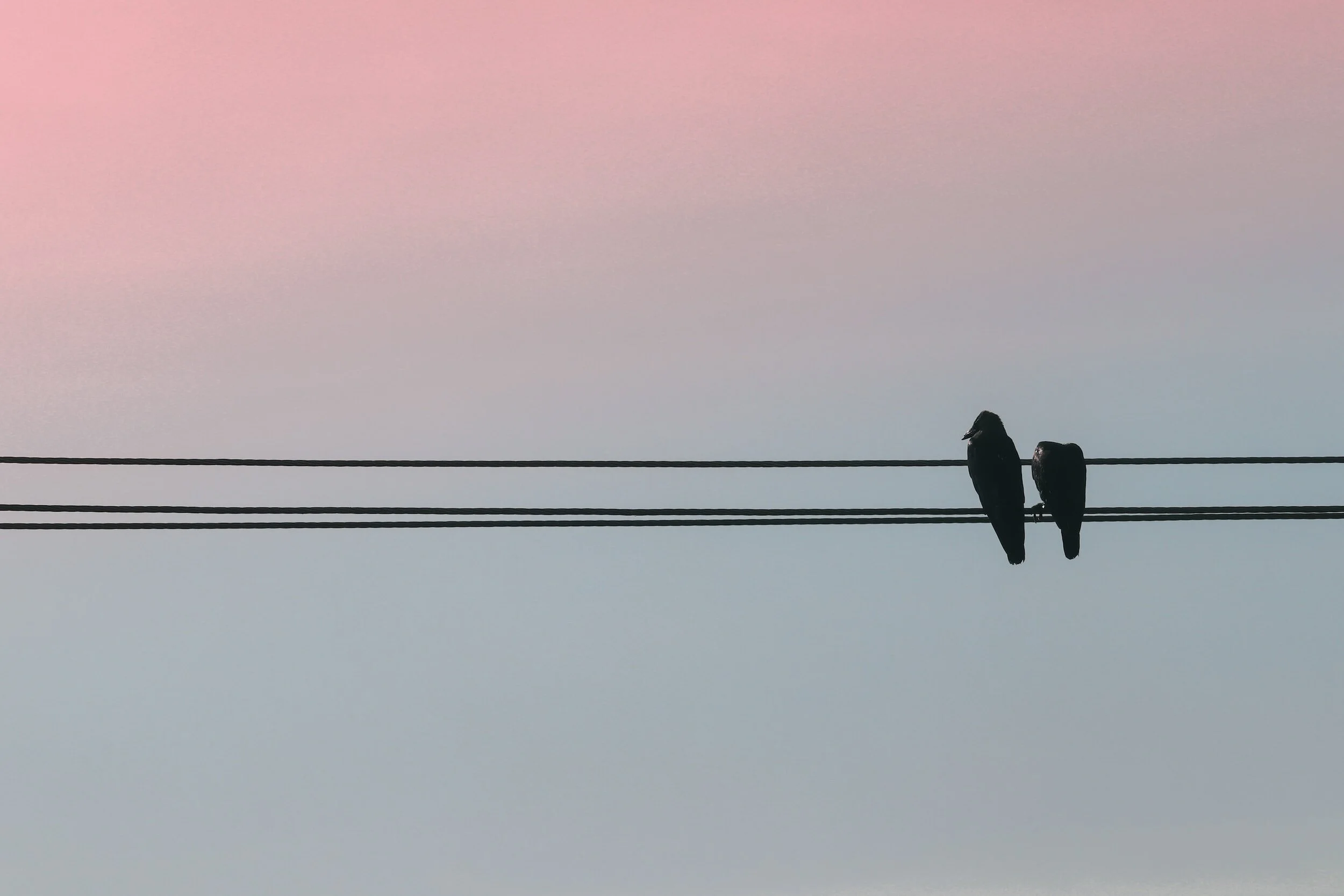 Abundant Love: Trusting God's Care and Provision