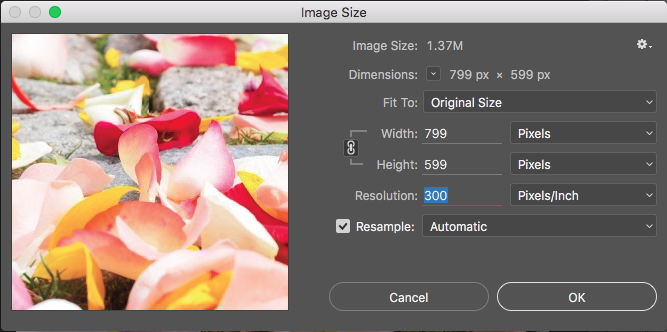 How to find the Image Resolution in Photoshop
