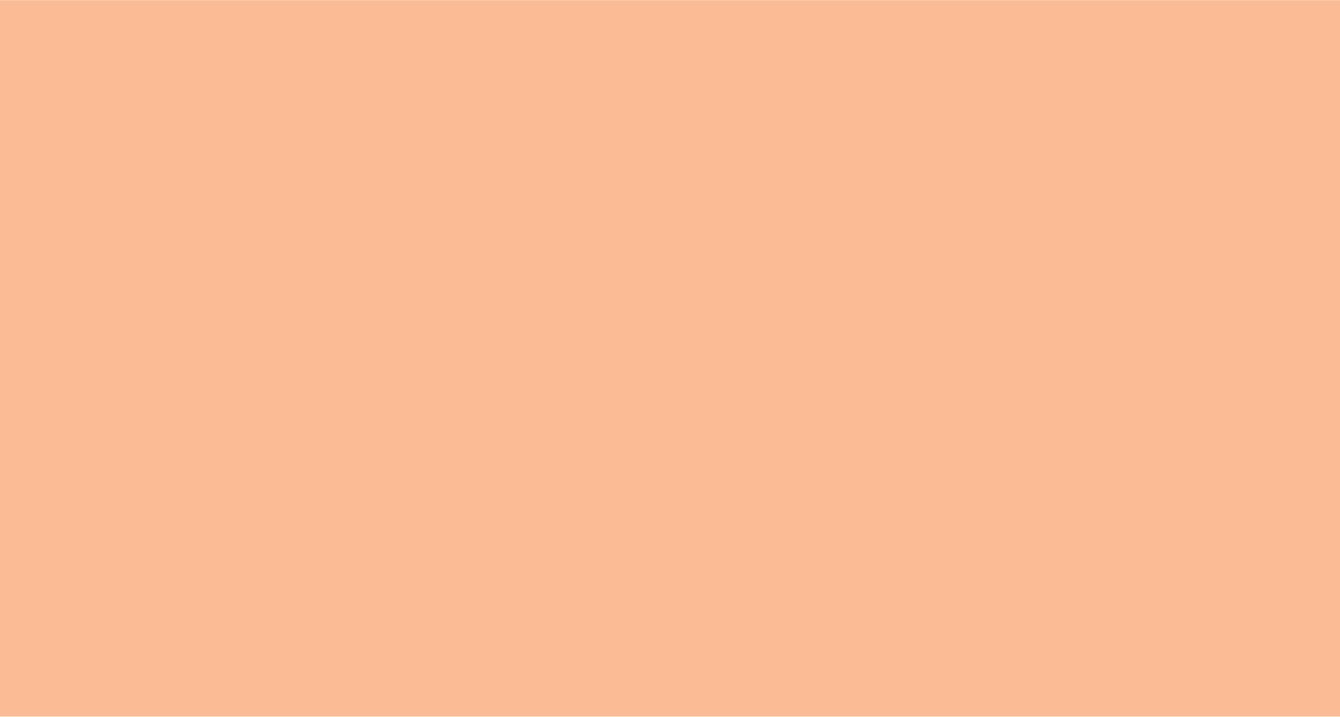 Light Orange-02.jpg