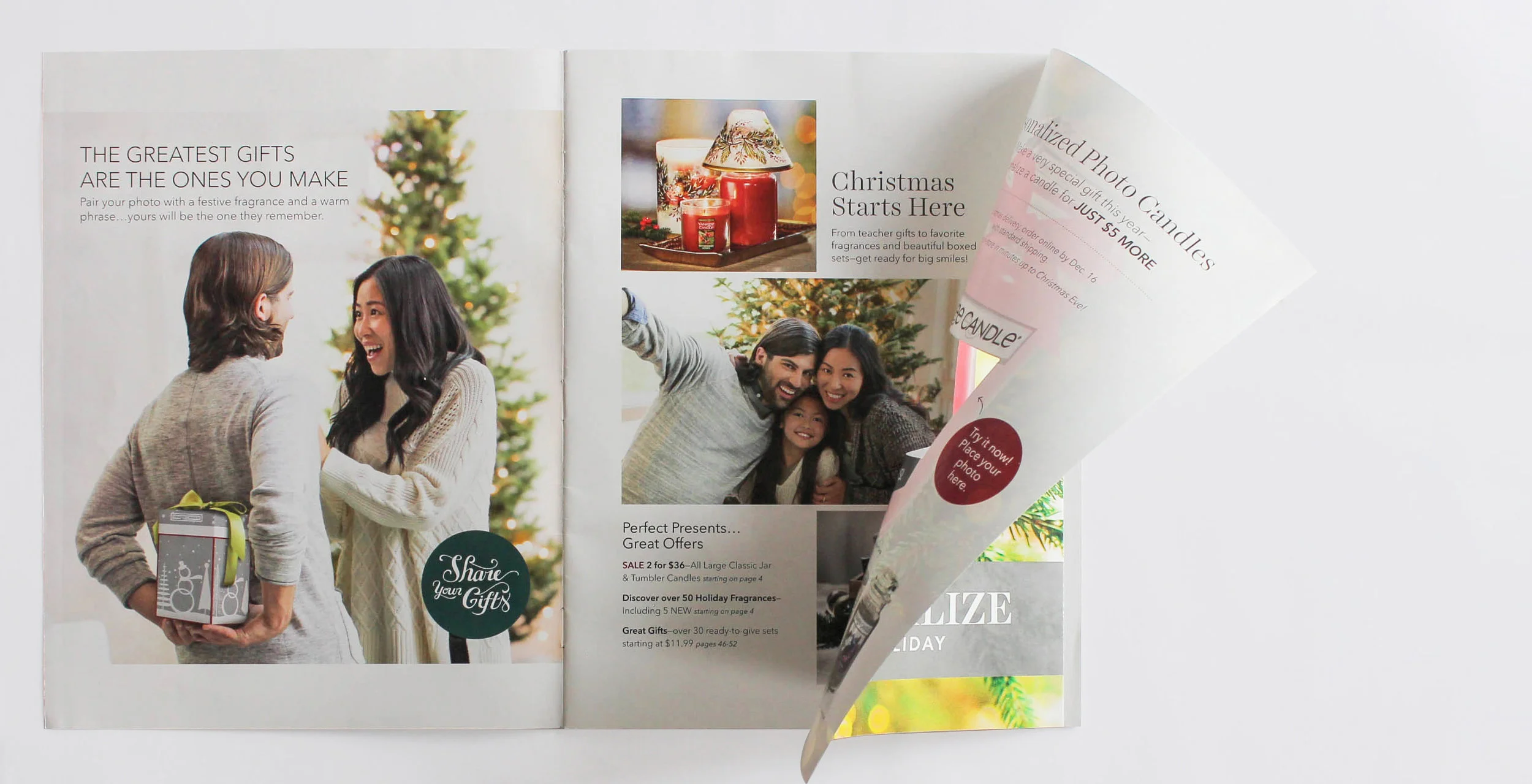 Holiday_Cat_23_5 copy.jpg