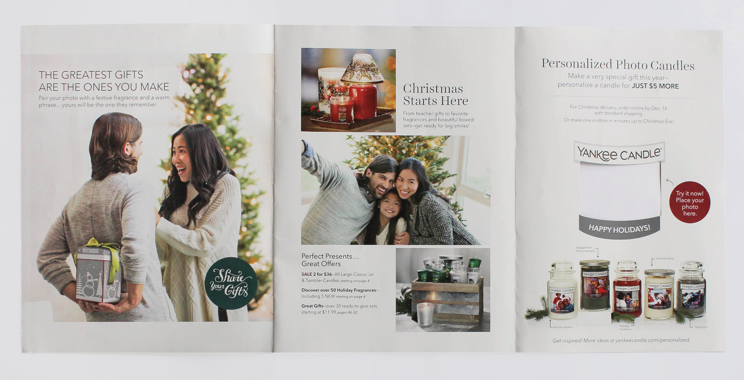 Holiday_Cat_234 copy copy.jpg