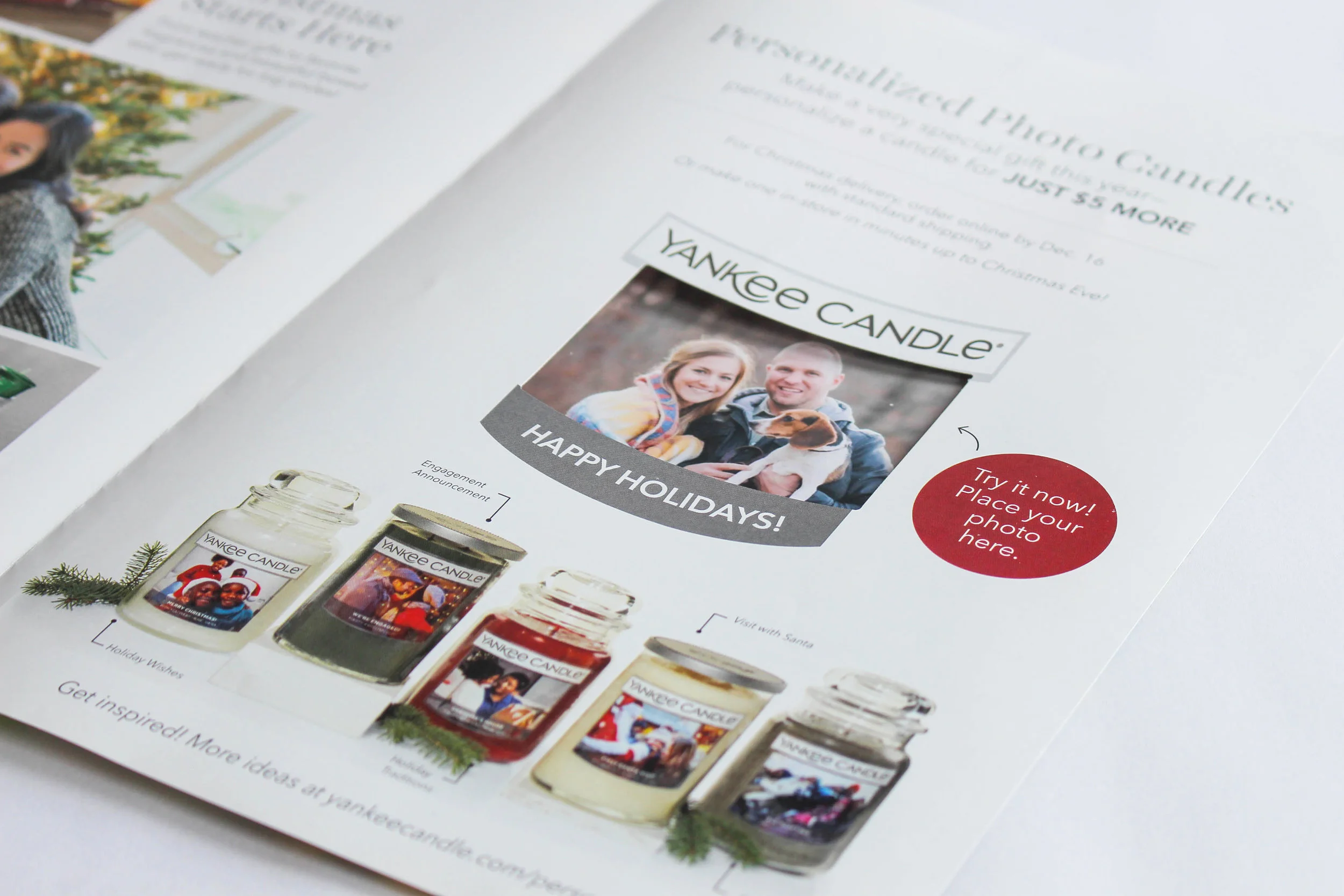 Holiday_Cat_Inside2 copy.jpg