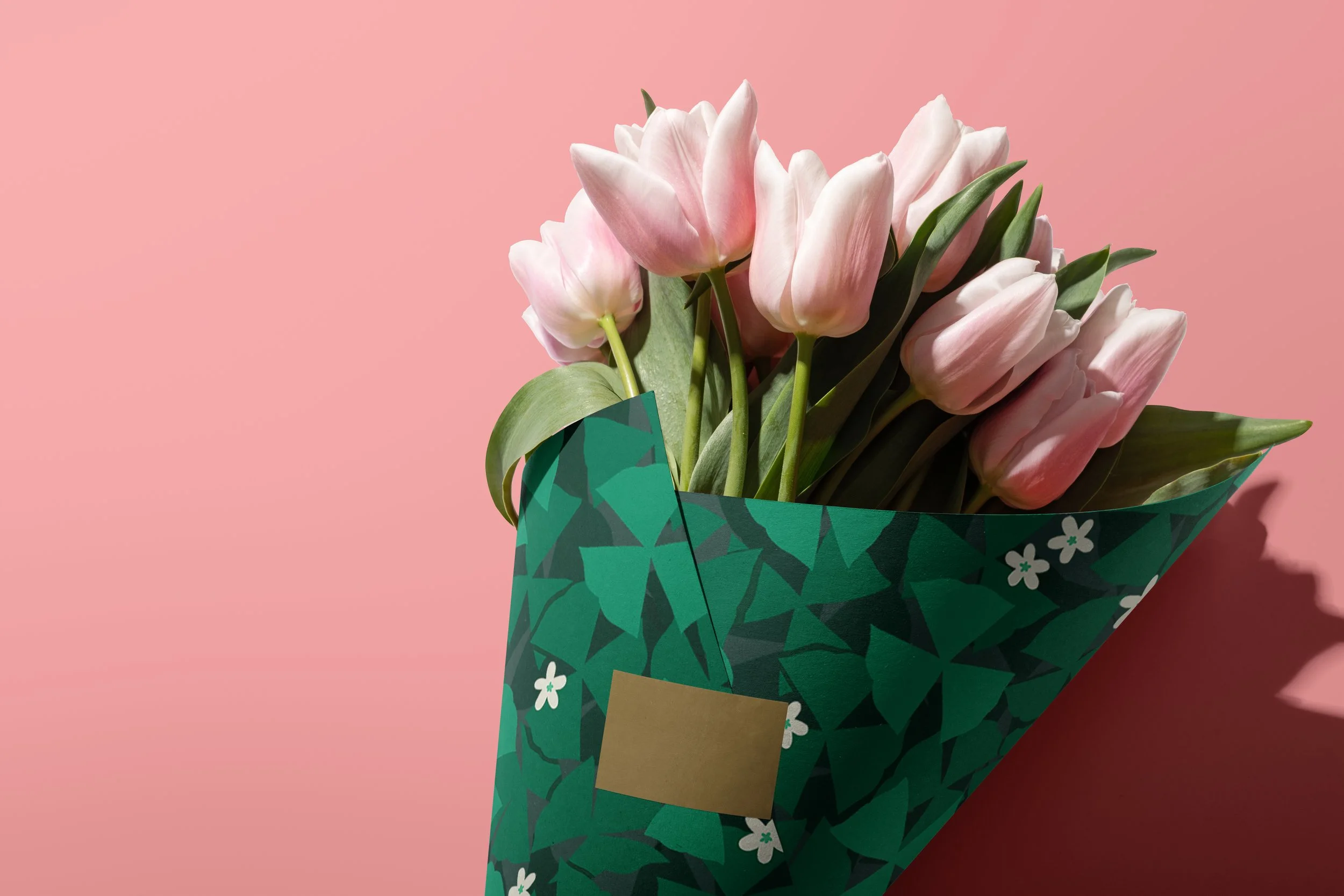 CoFPC Mockup copy.jpg