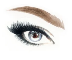 eyebrow1.jpeg