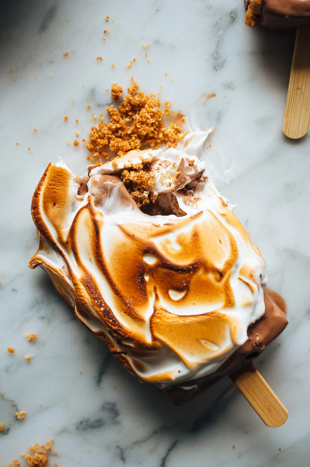 S'mores Ice Cream Pops 10.jpg