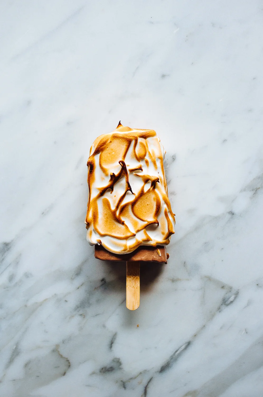 S'mores Ice Cream Pops 12.jpg